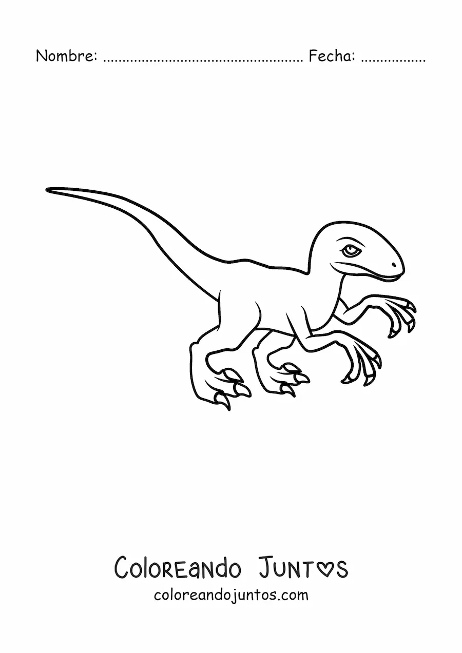 Imagen para colorear de velociraptor fácil
