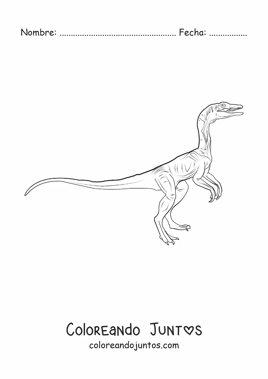 Imagen para colorear de dinosaurio carnívoro pequeño realista