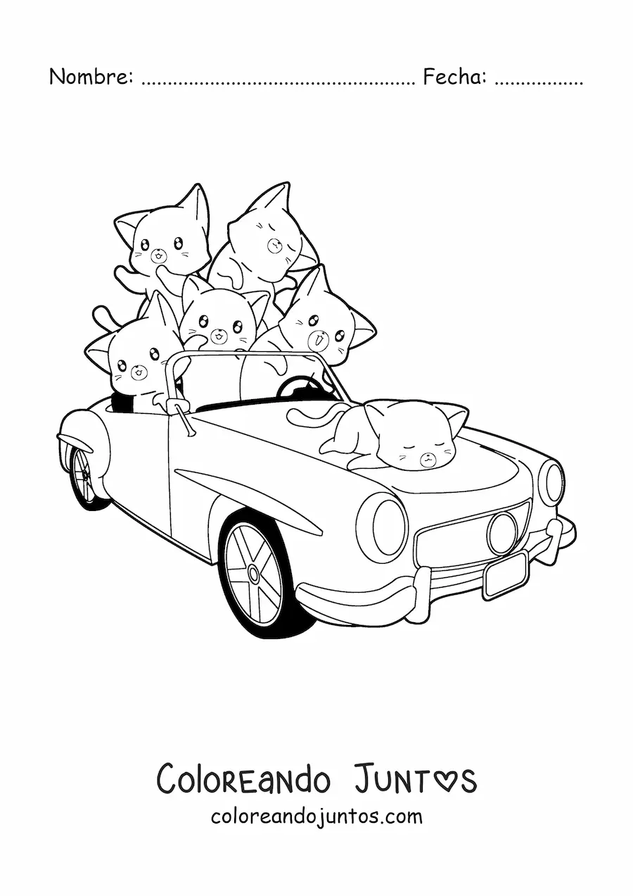 Imagen para colorear de gatitos tiernos en un auto