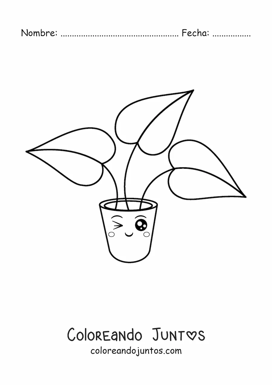 Imagen para colorear de tierna planta con hojas grandes en una maceta