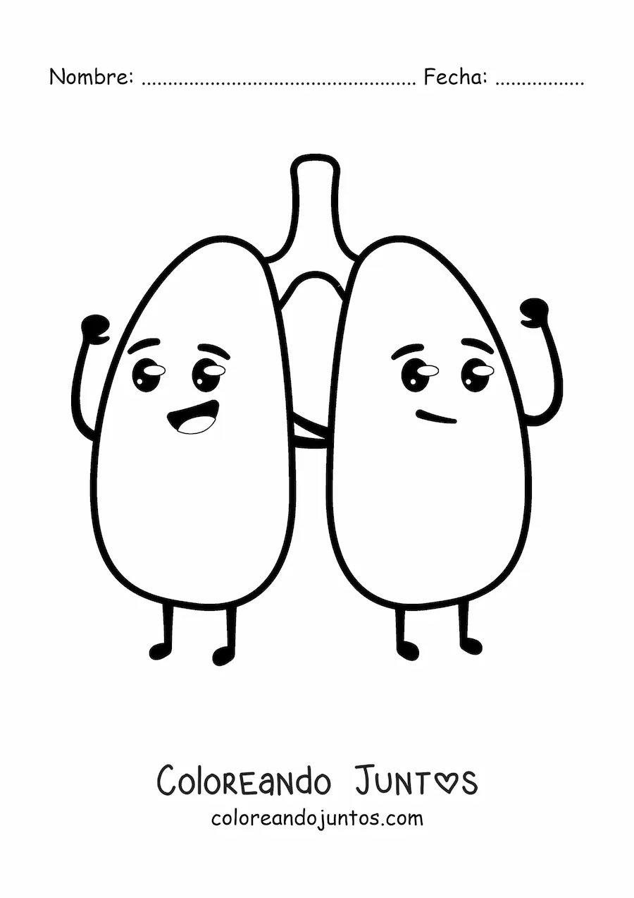 Imagen para colorear de pulmones kawaii animados saludables