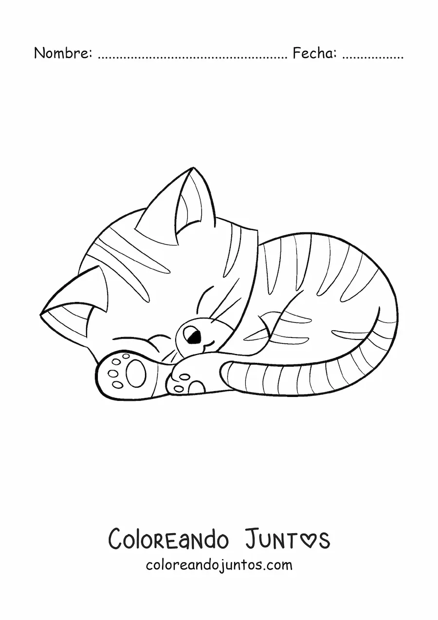 Imagen para colorear de gato kawaii animado con rayas durmiendo