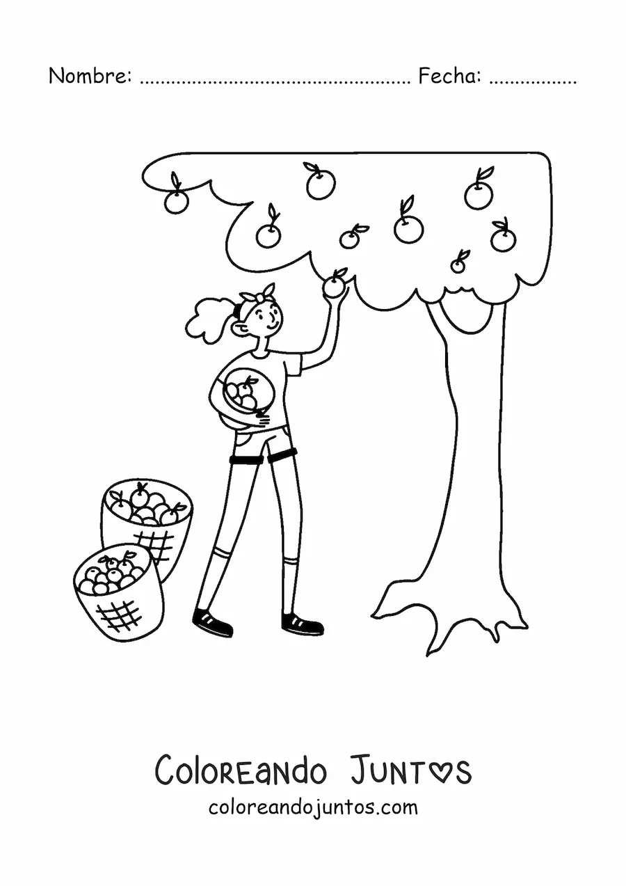 Imagen para colorear de chica recolectando manzanas de un árbol