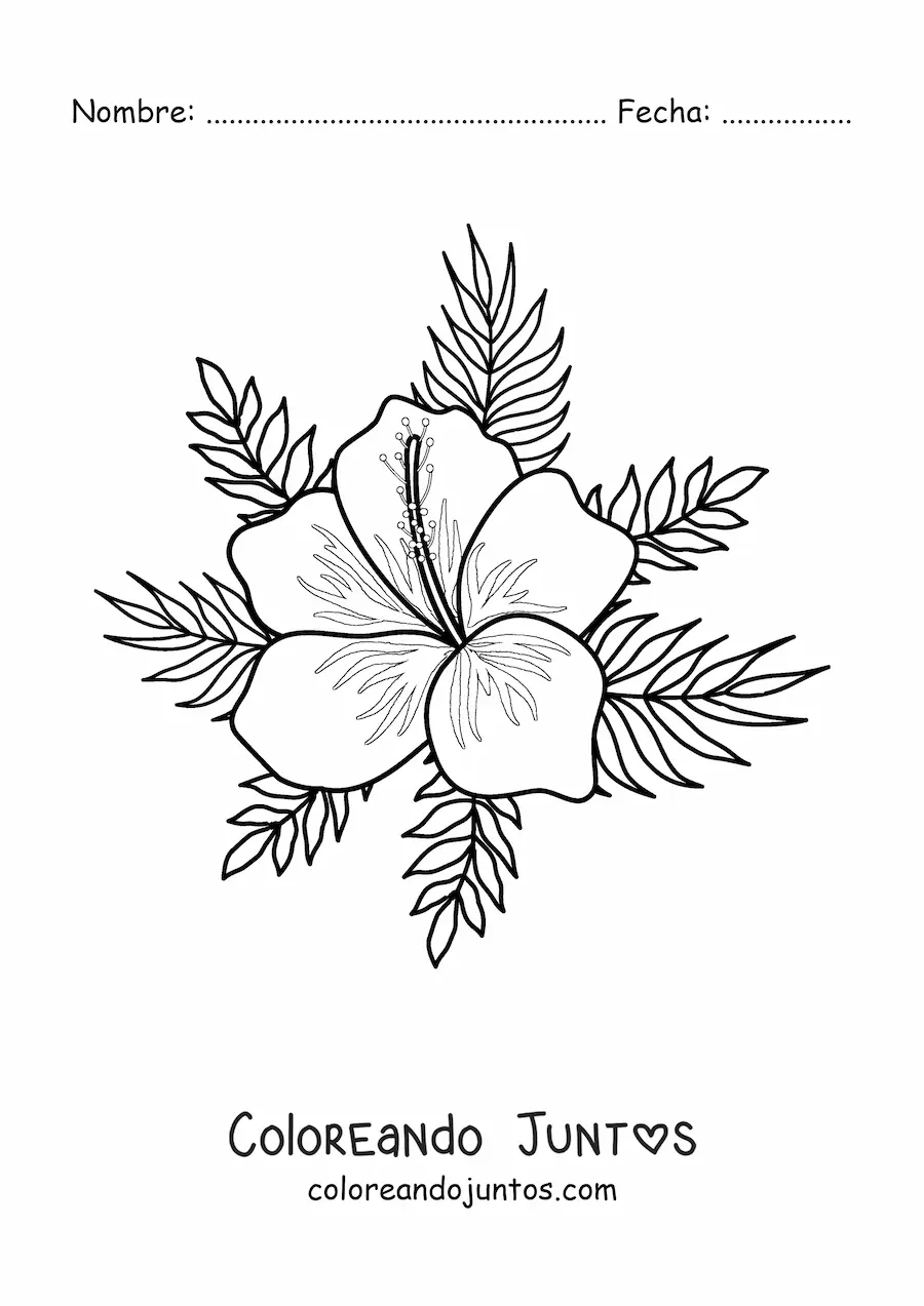 Imagen para colorear de flor hawaiana fácil con hojas