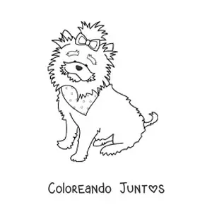 Imagen para colorear de un yorkshire terrier sentado usando una bandana y un lazo