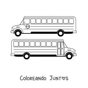 Imagen para colorear de un autobús escolar desde dos ángulos