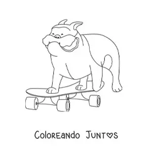 Imagen para colorear de un bulldog andando en en patineta