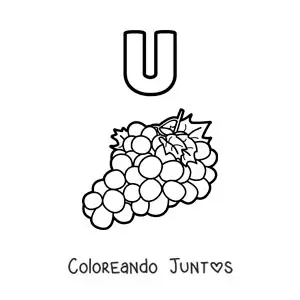 Imagen para colorear de la letra u de uvas