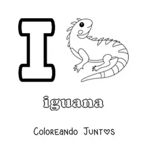Imagen para colorear de la letra i de iguana