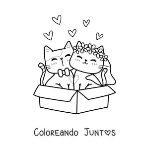 Imagen para colorear de tiernos gatitos recién casados sentados en una caja