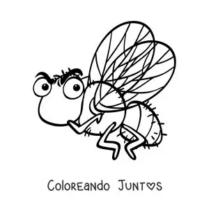 Imagen para colorear de una mosca doméstica animada enojada