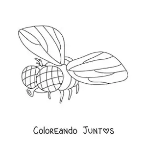 Imagen para colorear de una mosca doméstica volando