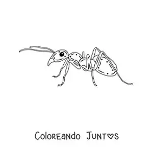 Imagen para colorear de una hormiga realista