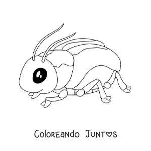 Imagen para colorear de escarabajo kawaii