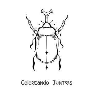 Imagen para colorear de escarabajo rinoceronte realista
