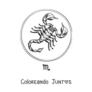 Imagen para colorear de escorpión realista del signo Escorpio
