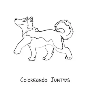 Imagen para colorear de un husky animado caminando