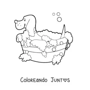 Imagen para colorear de un perro tomando un baño en una cubeta llena de burbujas