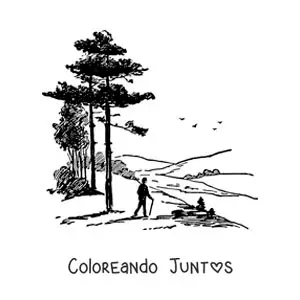 Imagen para colorear de la silueta de un caminante en las montañas