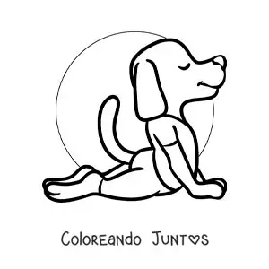 Imagen para colorear de una caricatura de un perro haciendo la postura de la cobra de yoga