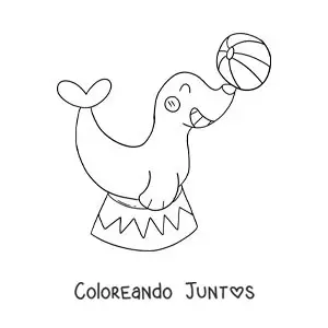 Imagen para colorear de una caricatura de una foca de circo balanceando una pelota