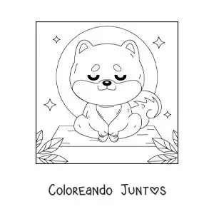 Imagen para colorear de un perro animado meditando