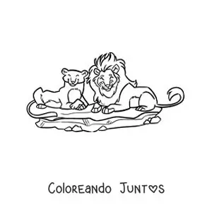 Imagen para colorear de una pareja de leones del zoológico animados acostados