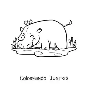 Imagen para colorear de un hipopótamo del zoológico animado bebiendo de un estanque