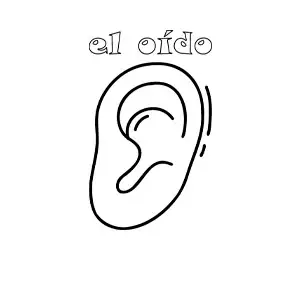 Imagen para colorear de la oreja como parte del sentido del oído para niños