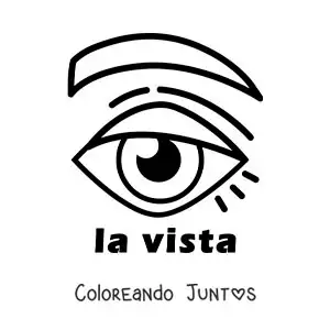 Imagen para colorear de el ojo como símbolo del sentido de la vista para niños