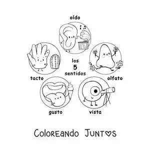 Imagen para colorear de caricaturas de los 5 sentidos para niños