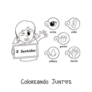Imagen para colorear de una caricatura de una niña con los cinco sentidos y sus nombres