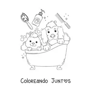 Imagen para colorear de un perro y un gato tiernos tomando un baño