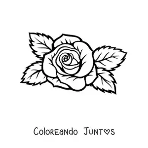 20 Dibujos de Rosas para Colorear ¡Gratis! | Coloreando Juntos