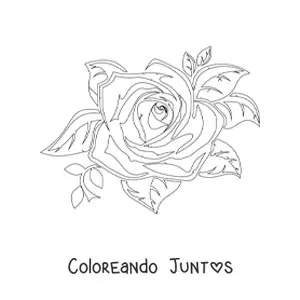 Imagen para colorear de una rosa grande realista con hojas