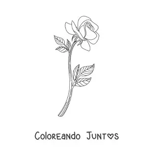 Imagen para colorear de una rosa realista pequeña con hojas