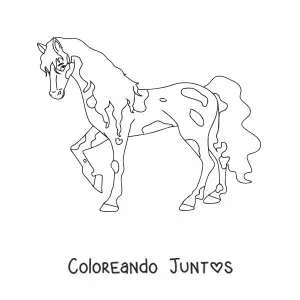 Imagen para colorear de un caballo con manchas levantando una pata