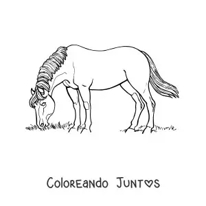 Imagen para colorear de un caballo pastando en el campo