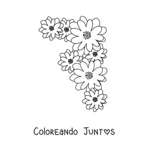 20 Dibujos de Margaritas para Colorear ¡Gratis! | Coloreando Juntos