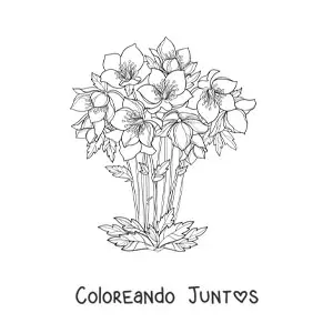 Imagen para colorear de un ramo de lirios hermosos en un florero