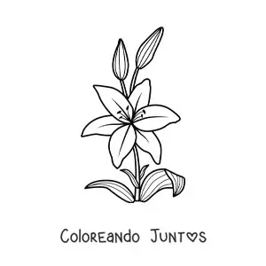 Imagen para colorear de un lirio sencillo con hojas