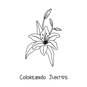 Imagen para colorear de un lirio con hojas