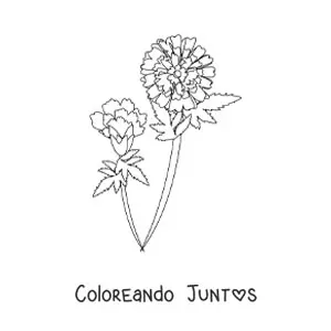 Imagen para colorear de dos claveles con hojas