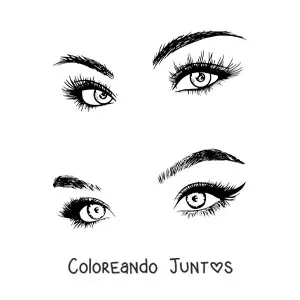 Imagen para colorear de 2 pares de ojos femeninos bonitos