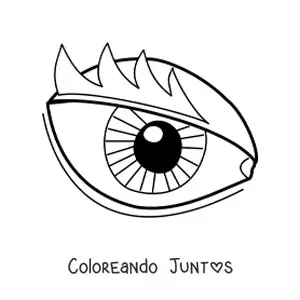 Imagen para colorear de un ojo animado con pestañas