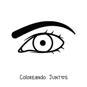 Imagen para colorear de un ojo masculono con ceja