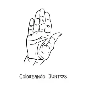 Imagen para colorear de la palma de la mano
