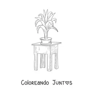 Imagen para colorear de una planta sobre una mesa cuadrada pequeña