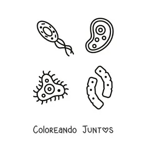 Imagen para colorear de varios microorganismos