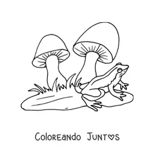 Imagen para colorear de una rana junto a dos hongos